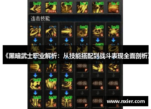《黑暗武士职业解析：从技能搭配到战斗表现全面剖析》