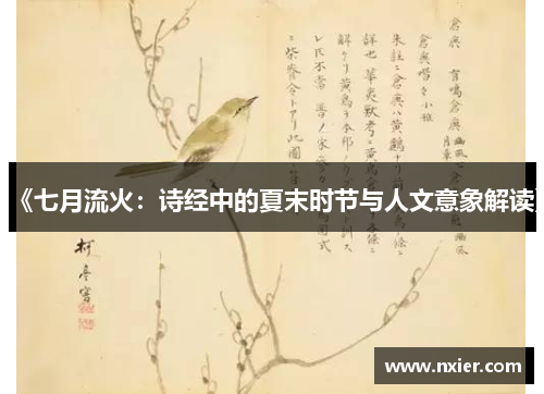 《七月流火：诗经中的夏末时节与人文意象解读》