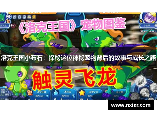 洛克王国小布石：探秘这位神秘宠物背后的故事与成长之路